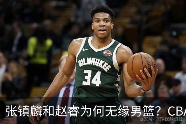 张镇麟和赵睿为何无缘男篮？CBA名记分析，道出2个原因